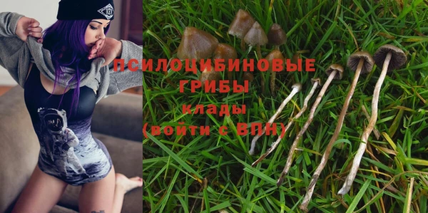 бутират Алексеевка