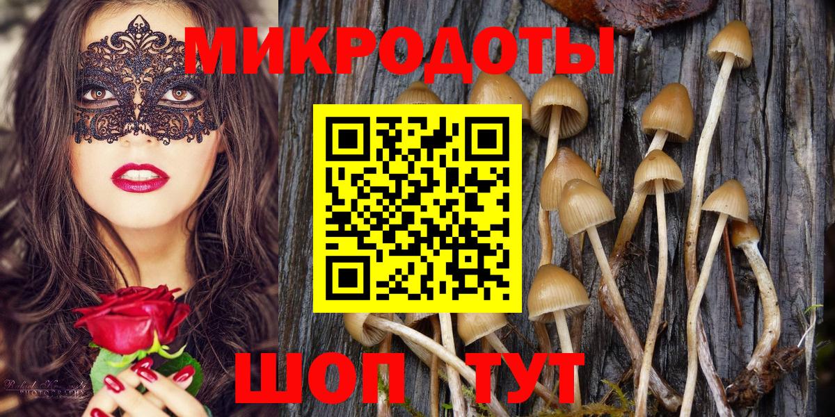 Псилоцибиновые грибы Psilocybe  как найти закладки  Красногорск  Вход с VPN 