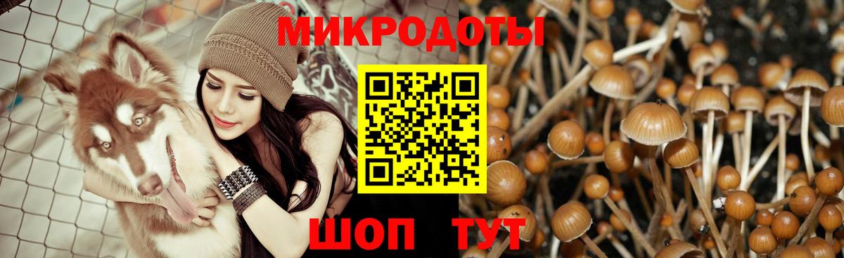 Галлюциногенные грибы ЛСД Красногорск